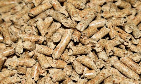 NYK to Develop Wood Pellet-Powered Vessel