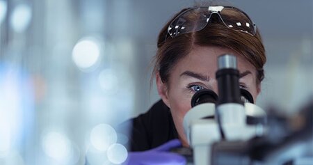 Spotlight on: Inspection services