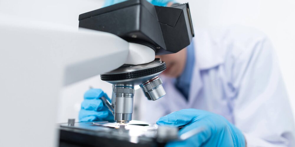 Trial Achieves 98% Methane‑Slip Reduction Using Catalyst System