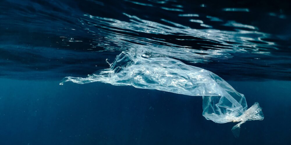 Global Shipping Firms Launch Maritime Association for Clean Seas to Combat Ocean Plastic