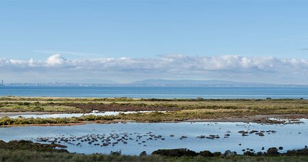 UK Government to Designate Three ‘Highly Protected Marine Areas’ in English Waters
