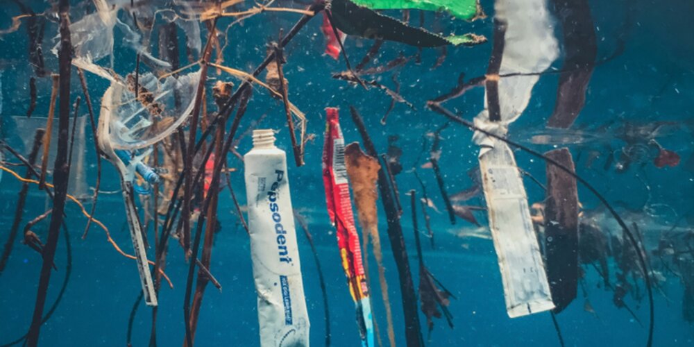 Borealis Maritime to Tackle Marine Pollution in New Partnership