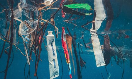 Borealis Maritime to Tackle Marine Pollution in New Partnership