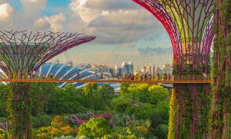 Singapore Reports Sales of 1m Tonnes of Alternative Fuels in 2024