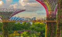 Singapore Reports Sales of 1m Tonnes of Alternative Fuels in 2024
