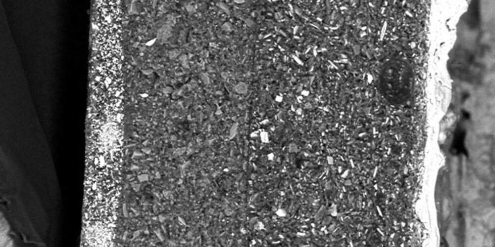 From Flake to Failure: The Cost of Ignoring Modern Marine Coatings Challenges