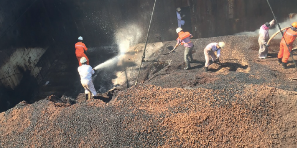 The Carriage of Seed Cake Cargoes Under the IMSBC Code 2020 Edition
