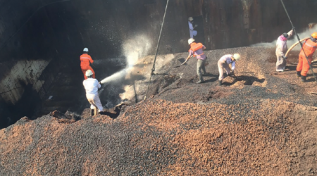 The Carriage of Seed Cake Cargoes Under the IMSBC Code 2020 Edition