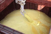 Stranded Sulphur Cargoes in the Strait of Hormuz Face Mounting Corrosion Risk, Warns Brookes Bell