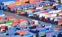BidBird Develops Multiple Container Handling System