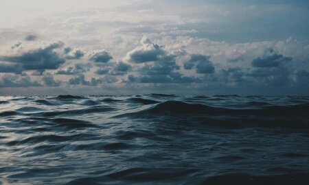 Wallenius Wilhelmsen Boosts Four Vessel Orders to Largest in the World