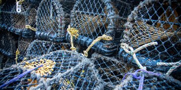 UK’s Seafish to Restructure Operations After Levy Reform Rejection