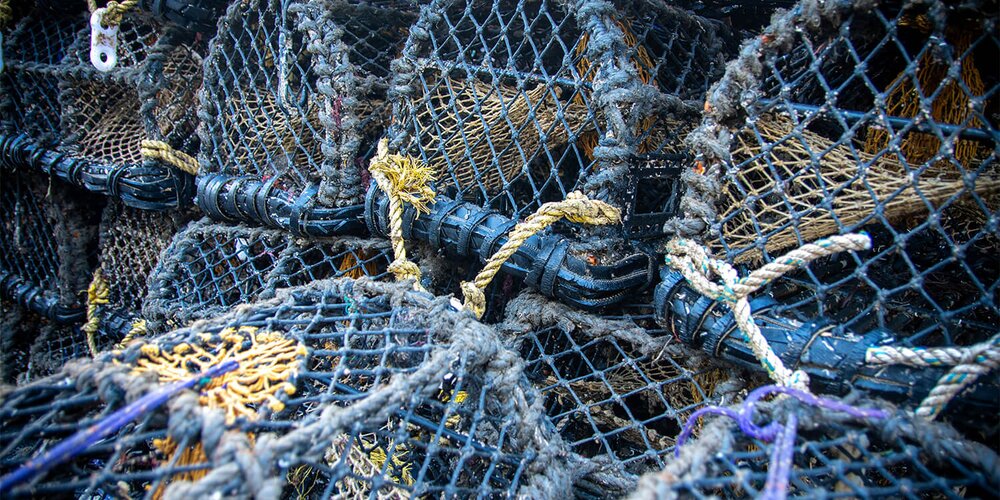 UK’s Seafish to Restructure Operations After Levy Reform Rejection