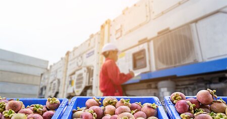 Unit45 and H.Essers Develop New Diesel-Electric Reefer