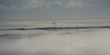 Seven Shipping Associations Back Net‑Zero Framework Ahead of IMO Climate Vote