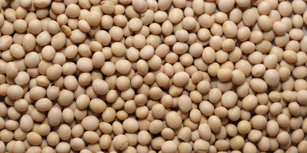Why Are There So Many Soya Bean Claims?