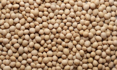 Why Are There So Many Soya Bean Claims?