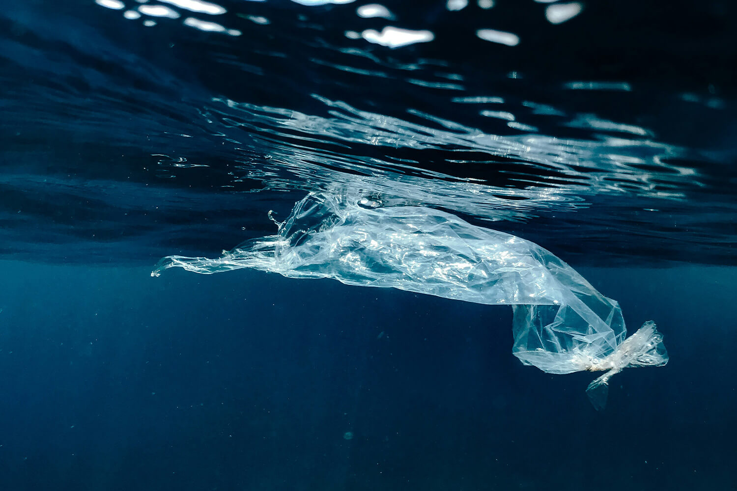 Global Shipping Firms Launch Maritime Association for Clean Seas to Combat Ocean Plastic