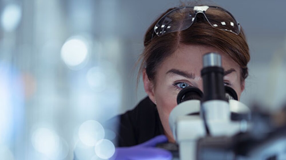 What Are Materials Science and Materials Testing and Why Are They