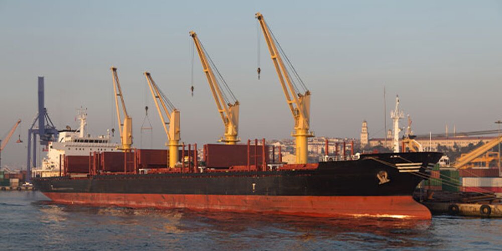 Investigating bulk carrier crane failure