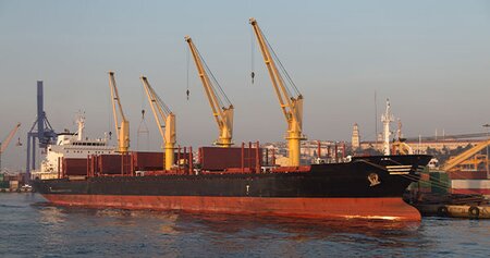 Investigating bulk carrier crane failure