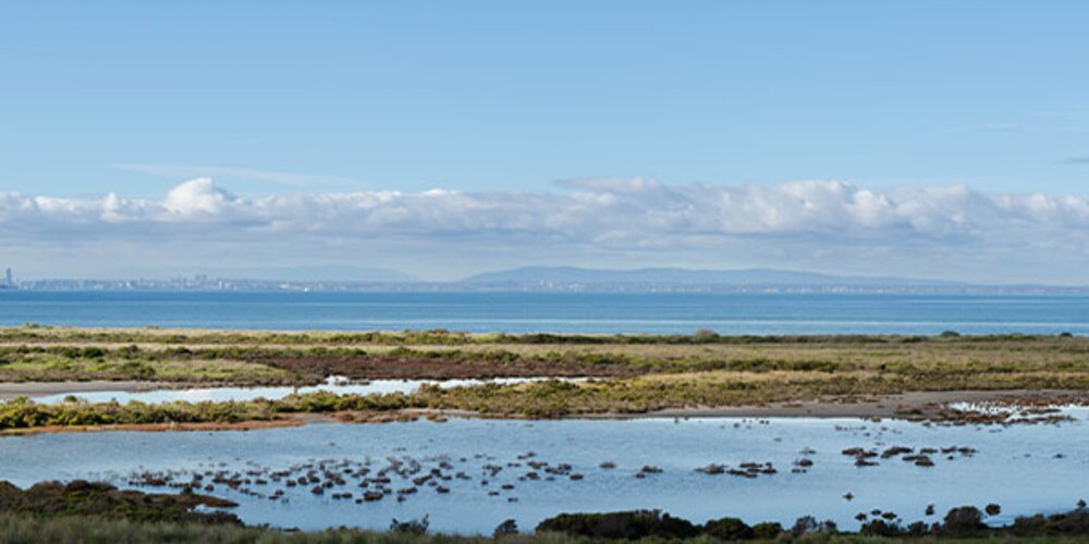 UK Government to Designate Three ‘Highly Protected Marine Areas’ in English Waters