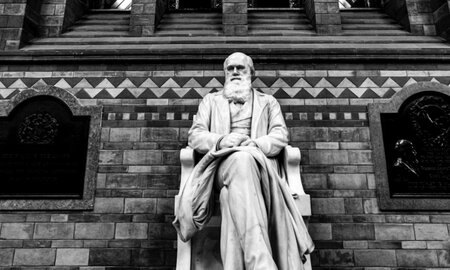 Tall Ship Recreates Darwin's HMS Beagle Voyage