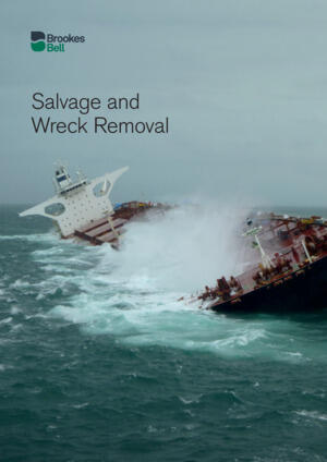 Salvage Fact Sheet