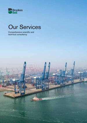 Our Services